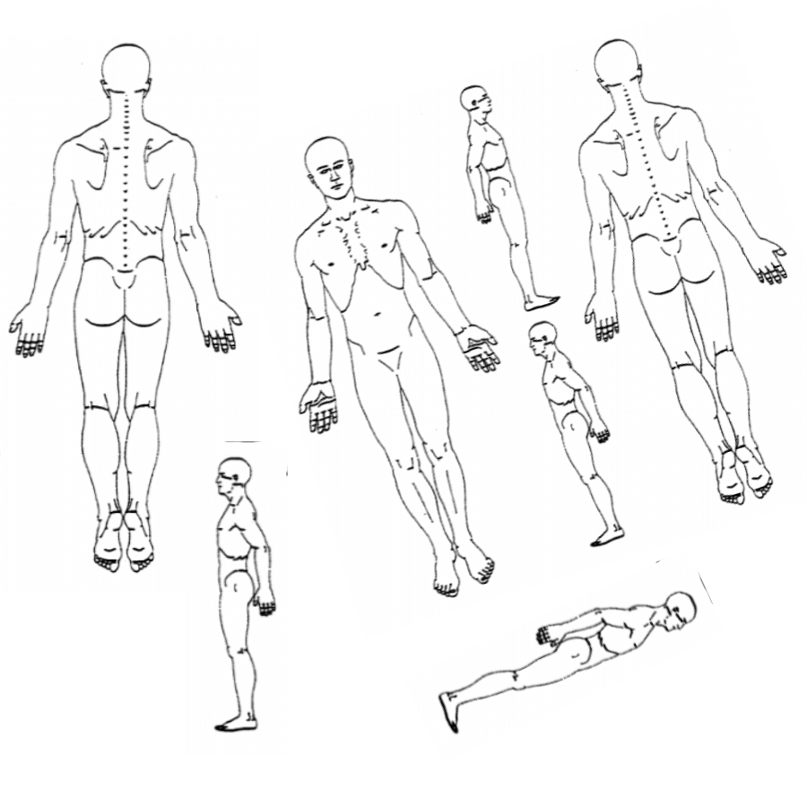 outline of human body