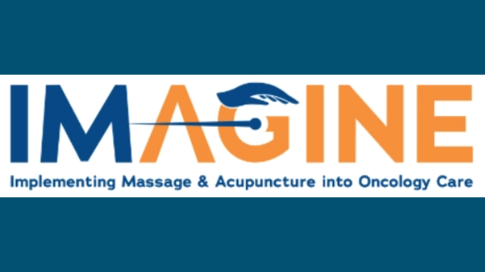 an image of the IMAGINE Project logo.