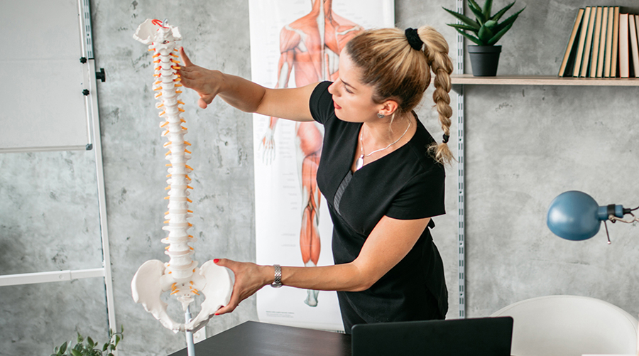 Medical knowledge, Massage therapy business, Muscle anatomy