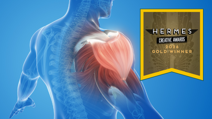 an image of human muscle anatomy with the Hermes Award bug next to it.