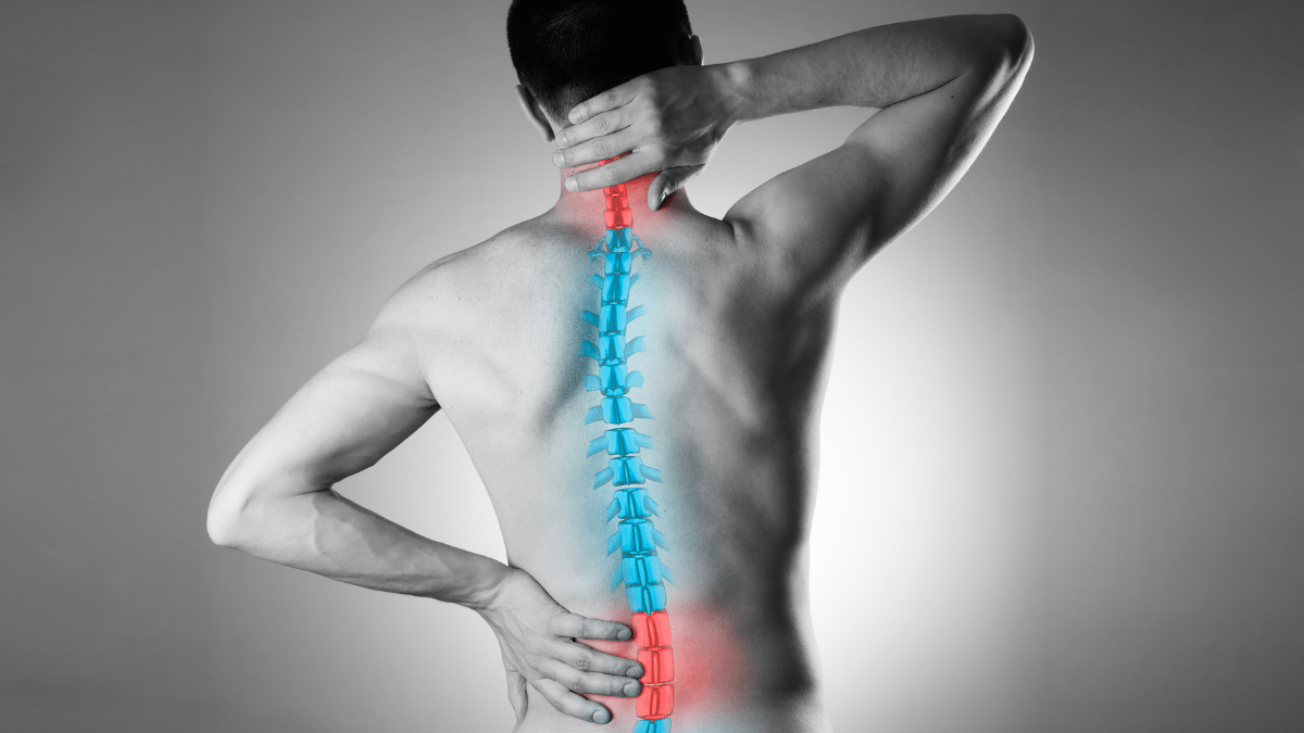 a graphic of a man's back with the anatomical spine highlighted.