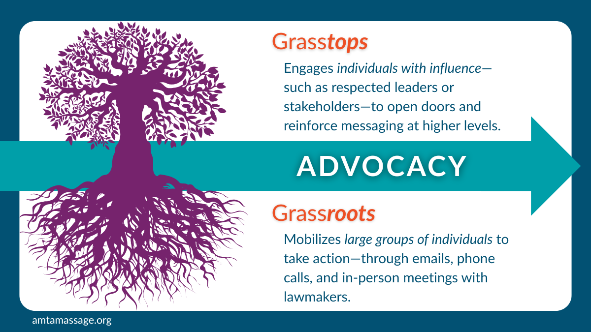 a graphic with a tree on it that describes the differences between grassroots and grasstops.