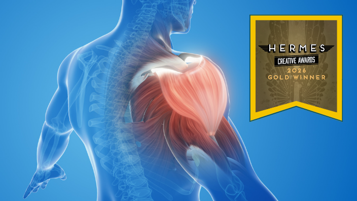 an image showing the muscle anatomy of a human with the award bug for the Hermes Award.