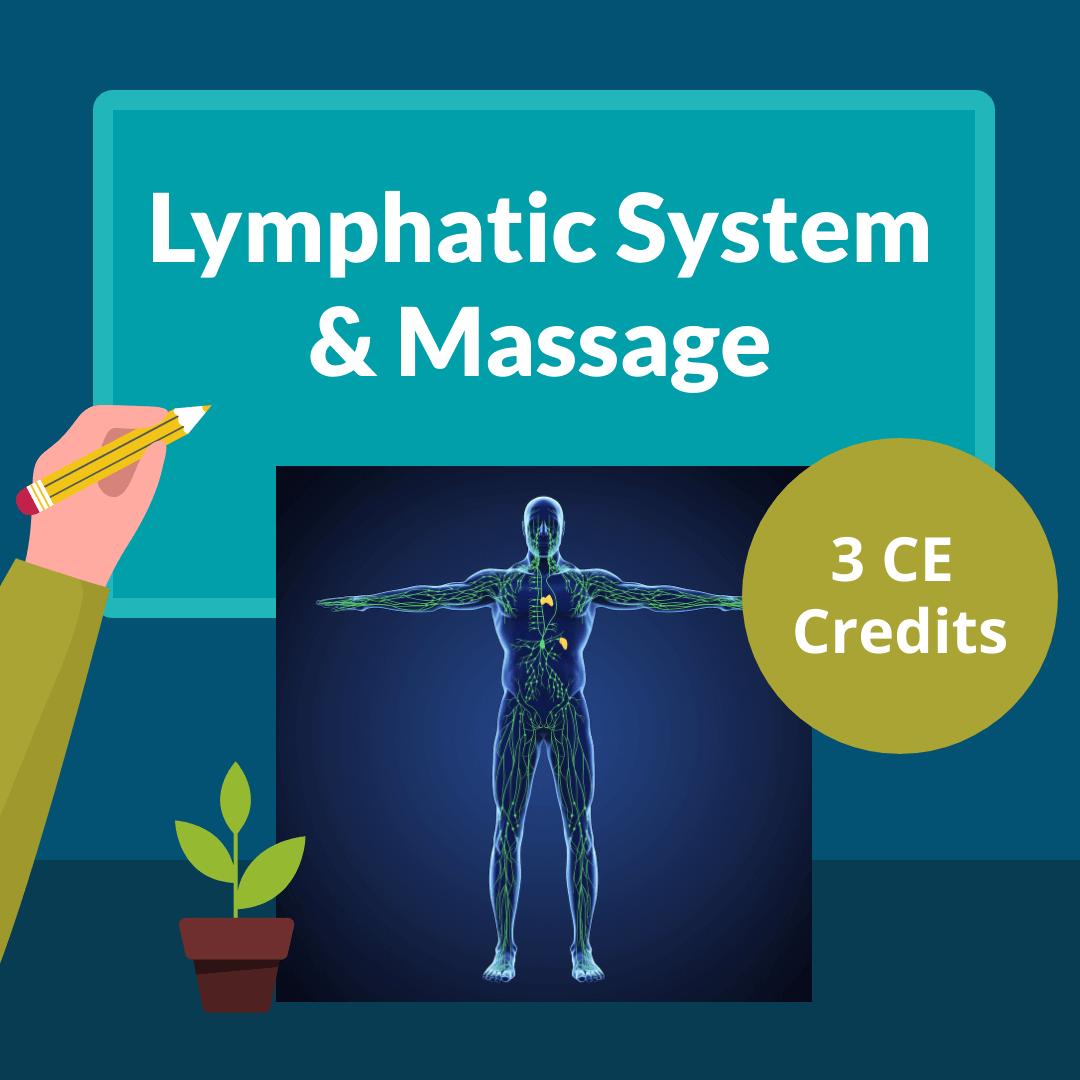 Illustration of the lymphatic system