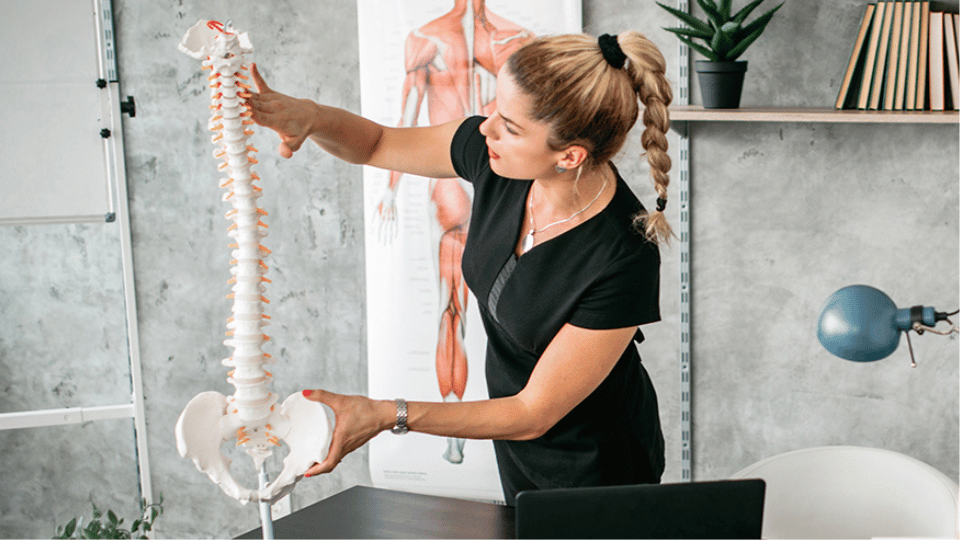 woman studying anatomy